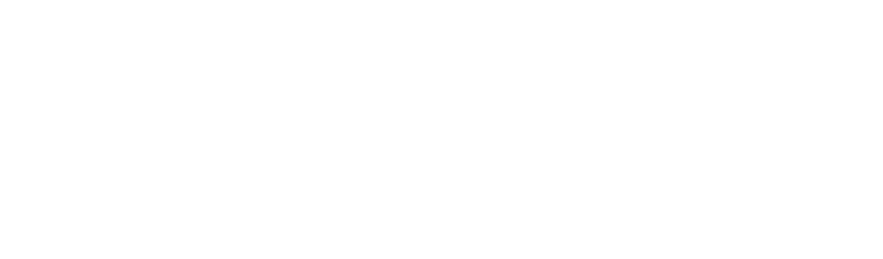 ARMIS International Logo - Reversed Out White transparent back
